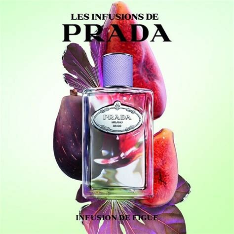 vofficine volta bocchetta prada|prada infusion de figue.